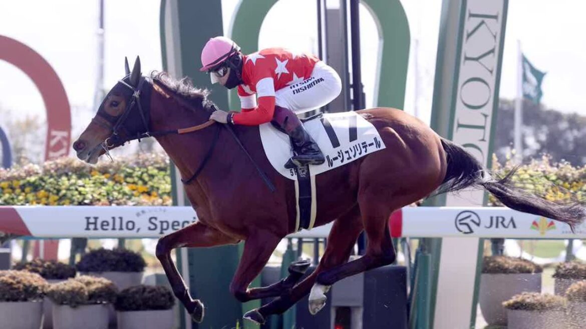 【3歳新馬・京都5R】ルージュソリテールが危なげなく抜け出し完勝！　藤原英師「桜花賞を目指したい」｜競馬ニュース｜競馬予想のウマニティ