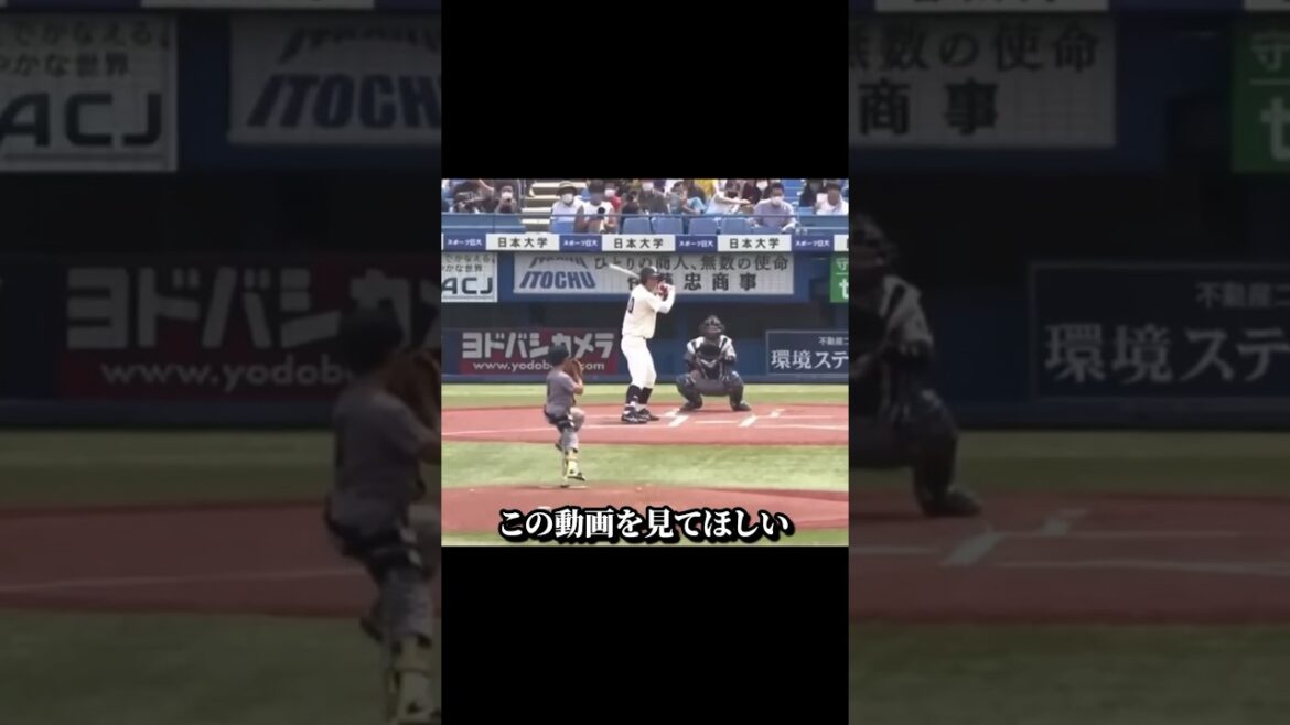 観客全員を号泣させた始球式とは？ #野球 #大学野球 #始球式 #雑学