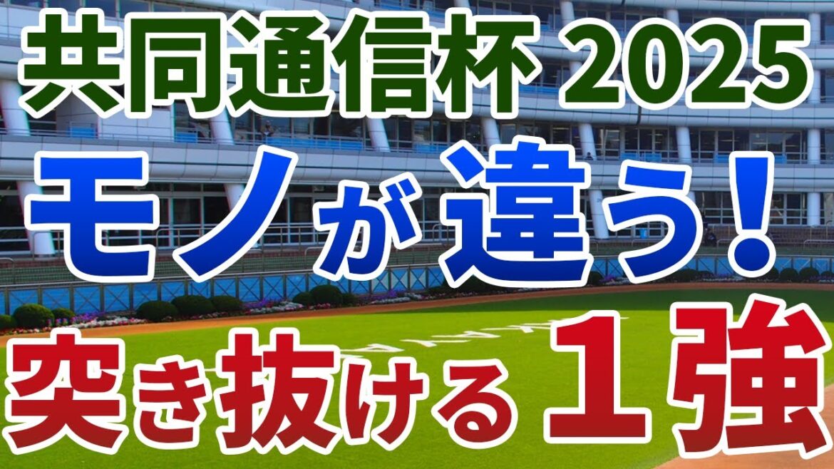 共同通信杯2025【絶対軸1頭】公開！全人気馬にまさかの黄信号！ポテンシャルで勝ち切る１強は？