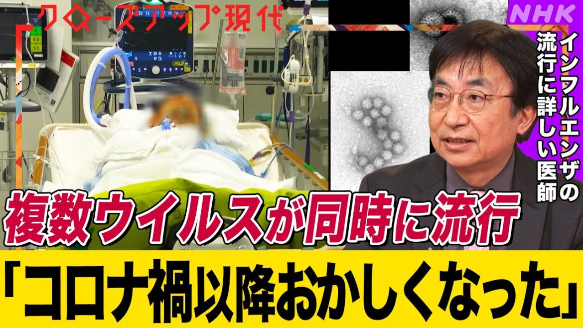 【子どもの重症化にも注意】インフルエンザ”過去最多”の裏でマイコプラズマやリンゴ病などもなぜ流行?同時感染の危険も 病床のひっ迫や薬不足も深刻【クロ現】| NHK 【子どもの重症化にも注意】インフルエンザ”過去最多”の裏でマイコプラズマやリンゴ病などもなぜ流行?同時感染の危険も 病床のひっ迫や薬不足も深刻【クロ現】| NHK