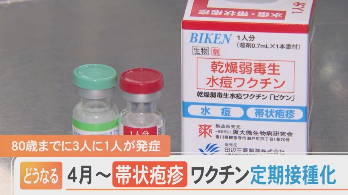 4月～帯状疱疹ワクチン「定期接種」開始　80歳までに3人に1人が発症…自己負担額は？2種類のワクチンをどう選ぶ？