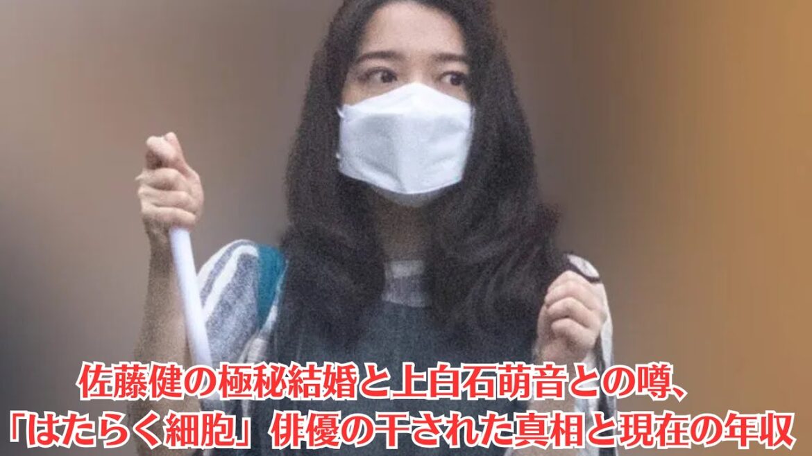 佐藤健の極秘結婚と上白石萌音との噂、「はたらく細胞」俳優の干された真相と現在の年収