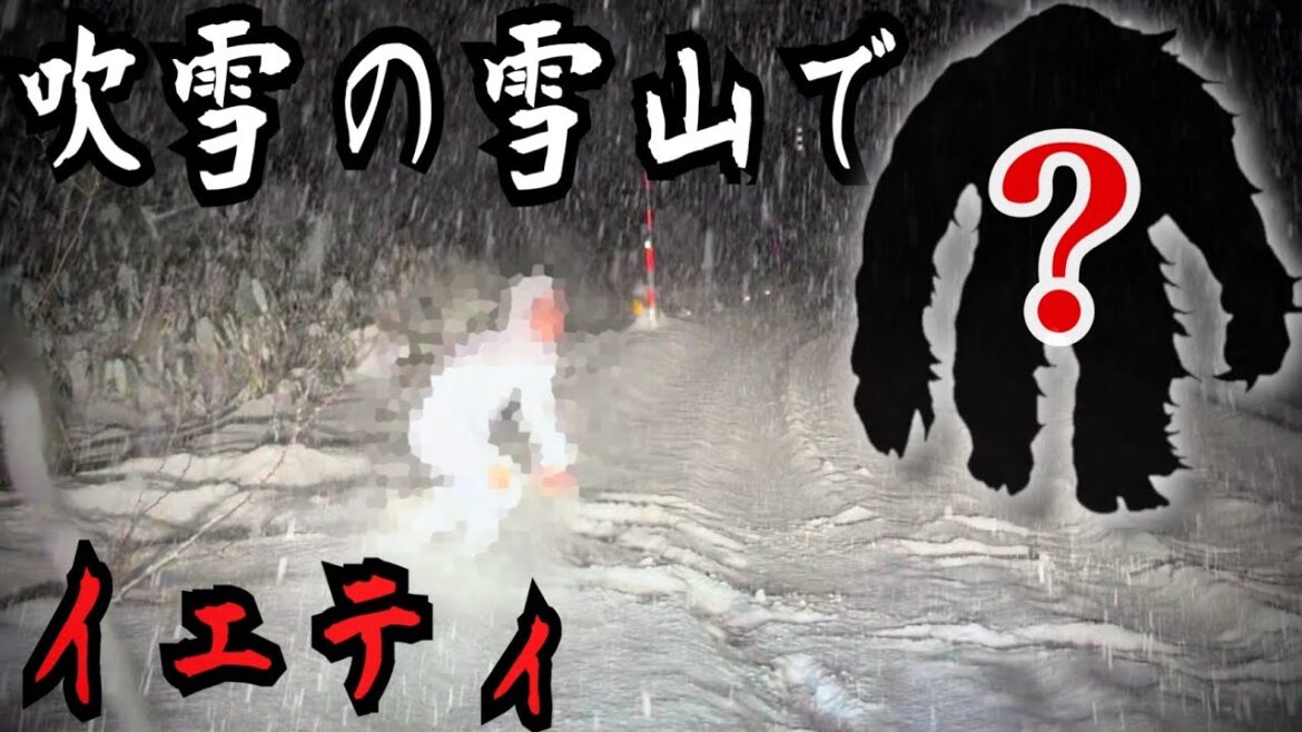 【衝撃映像】猛吹雪の雪山であの未確認生物"イエティ"と遭遇してしまいました