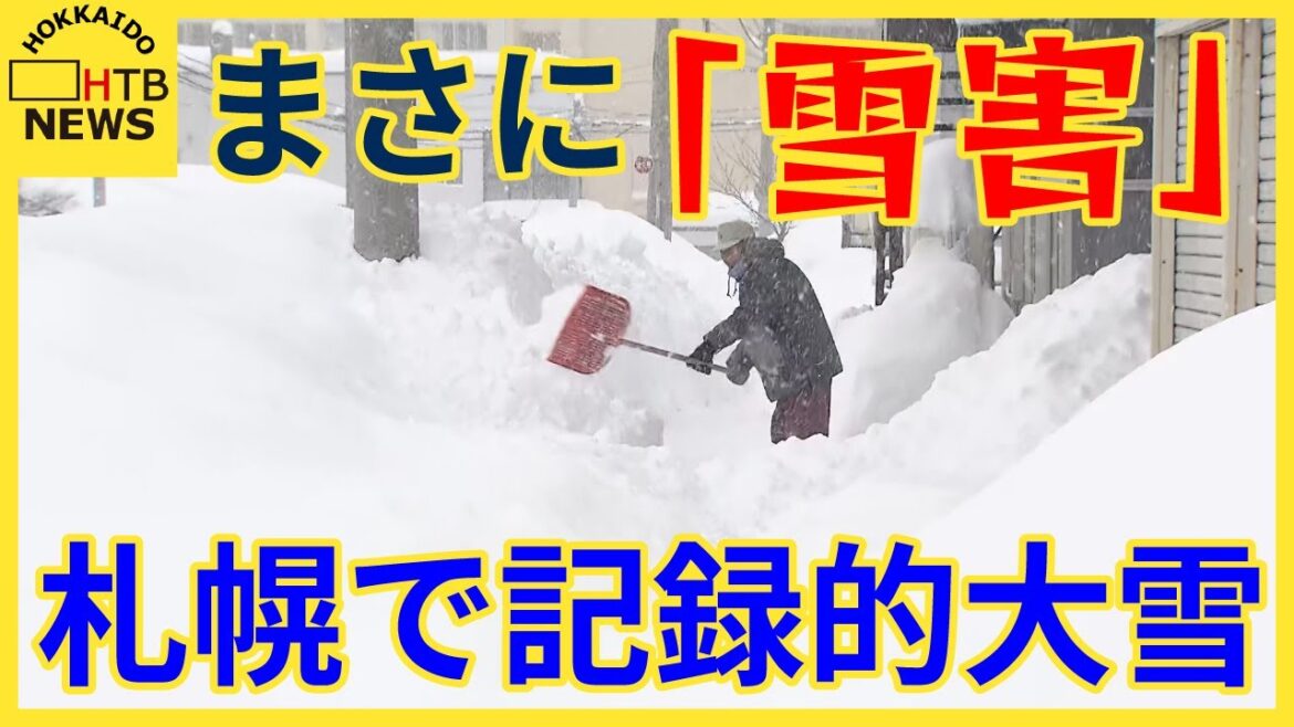 2月としては観測史上一番の雪も　札幌上空に発達した雪雲　南部や西部にかけて局地的な大雪