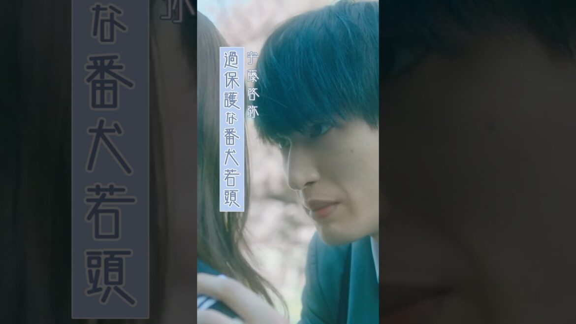 映画『お嬢と番犬くん』キャラクターPV《番犬Ver.》【3月14日(金)公開】
