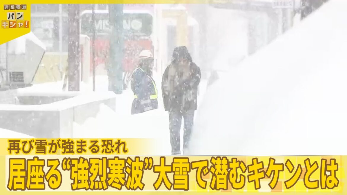 【ピーク再び】列島に居座る強烈寒波…  気温差で「もろい層」雪崩を誘発『バンキシャ!』 【ピーク再び】列島に居座る強烈寒波…  気温差で「もろい層」雪崩を誘発『バンキシャ!』