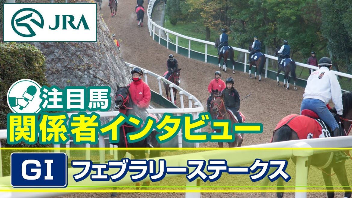 【注目馬 関係者インタビュー】2025年 フェブラリーステークス｜JRA公式