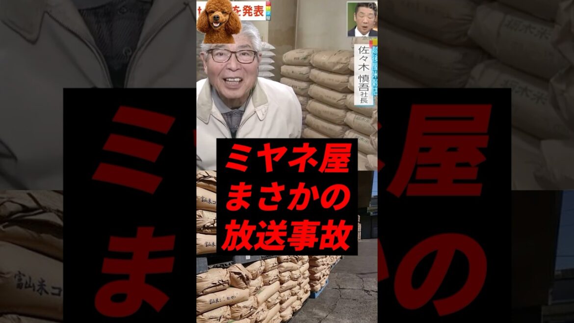 ミヤネ屋、コメ業者に激ヤバ暴露され放送事故w
