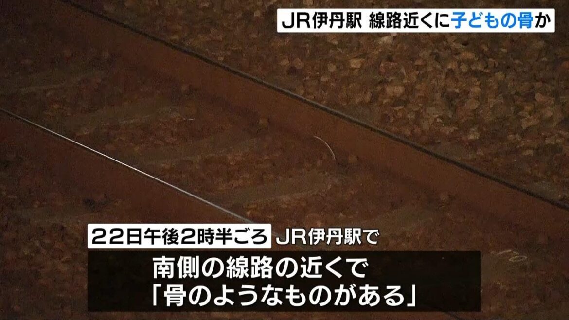 【速報】JR伊丹駅の線路近くに「子どもの頭部など人骨とみられるもの」複数見つかる 発見は一般の人が立ち入れない場所 死体遺棄事件で捜査 兵庫 【速報】JR伊丹駅の線路近くに「子どもの頭部など人骨とみられるもの」複数見つかる 発見は一般の人が立ち入れない場所 死体遺棄事件で捜査 兵庫
