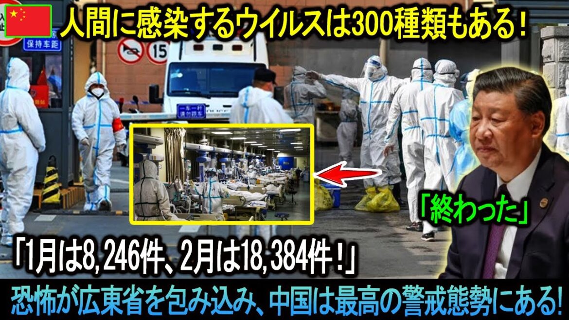 中国で「コウモリ風邪パンデミック」発生！人間に感染するウイルスは300種類もある！「1月は8,246件、2月は18,384件！」恐怖が広東省を包み込み、中国は最高の警戒態勢にある。。。