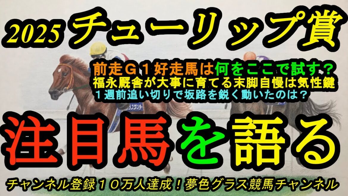 【注目馬を語る】2025チューリップ賞！桜花賞へ向けて！G1で賞金獲得馬は何をここで試す？1週前追い切りで坂路好走馬！