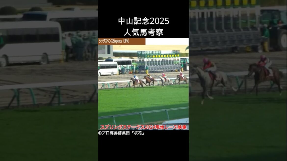 中山記念2025出走予定のシックスペンスは１番人気になりそうだ！毎日王冠やスプリングステークスを勝ち上がった千八巧者！ #中山記念 #中山記念2025 #シックスペンス #プロ馬券師集団桜花 #競馬