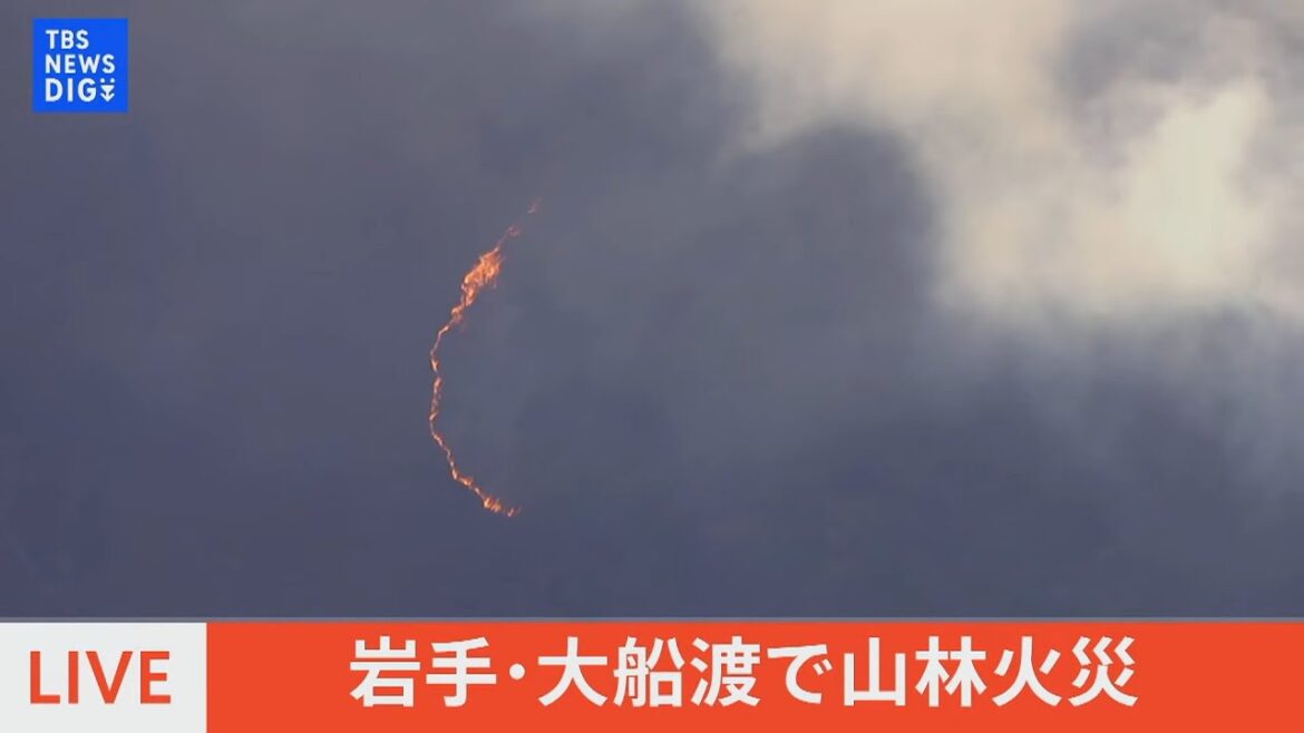 【空撮ライブ】岩手・大船渡で山林火災 男性1人の焼死体が発見(2025年2月27日)| TBS NEWS DIG 【空撮ライブ】岩手・大船渡で山林火災 男性1人の焼死体が発見(2025年2月27日)| TBS NEWS DIG