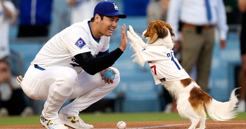 「言っちゃいけないかもしれないけど…」大谷翔平&デコピンの始球式“裏話” ドジャースの日本人トレーナーが明かす | ORICON NEWS 「言っちゃいけないかもしれないけど…」大谷翔平&デコピンの始球式“裏話” ドジャースの日本人トレーナーが明かす | ORICON NEWS