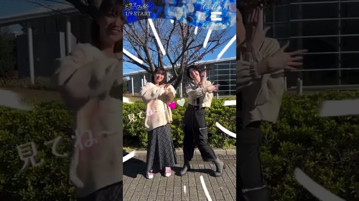 Double Pink Sentai in a new Dorama