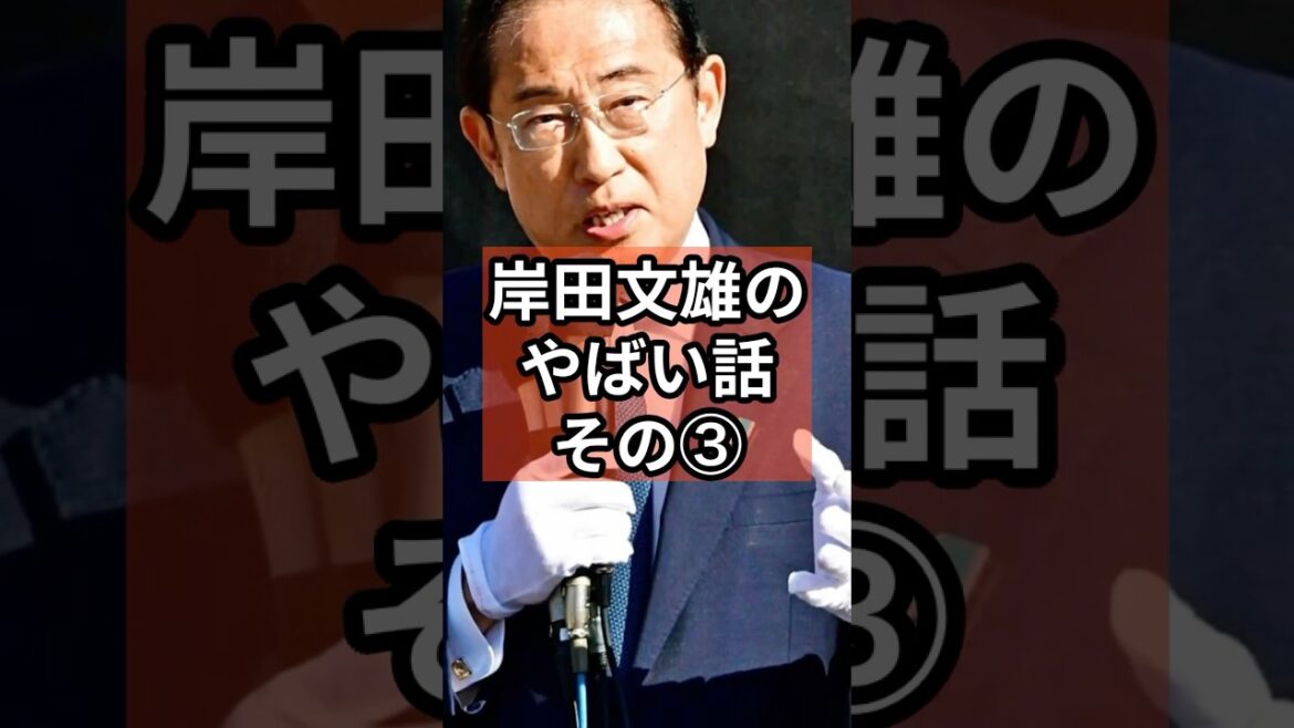 岸田文雄のやばい話③ #政治 #自民党   #石破茂  #岸田文雄 #shorts  #投票 VOICE:VOX 青山龍星 VOICE:VOX Nome