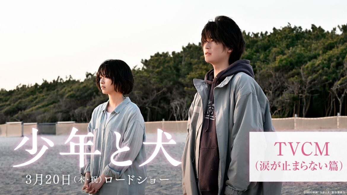 映画『少年と犬』TVCM 涙が止まらない篇【3月20日(木・祝)公開】