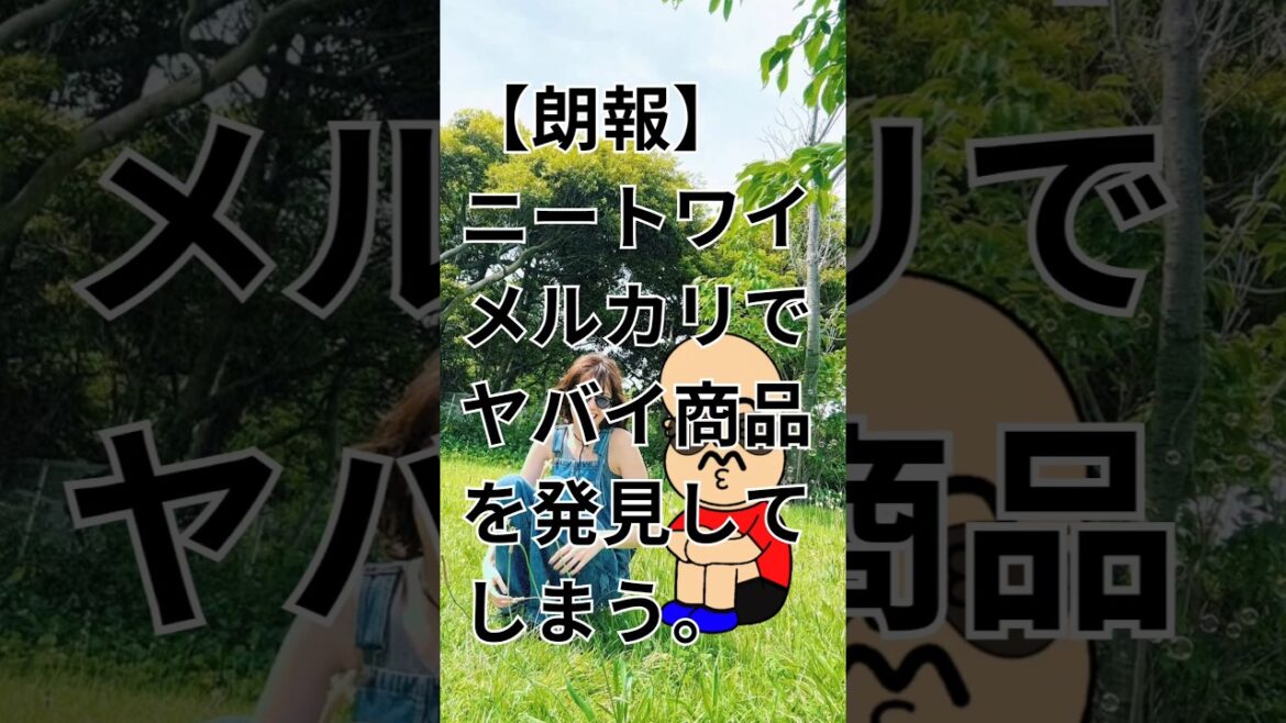 朗報　ニートワイ　メルカリでヤバい商品を発見してしまう　#佐藤栞里　#ニート　#引きこもり　#パワーストーン