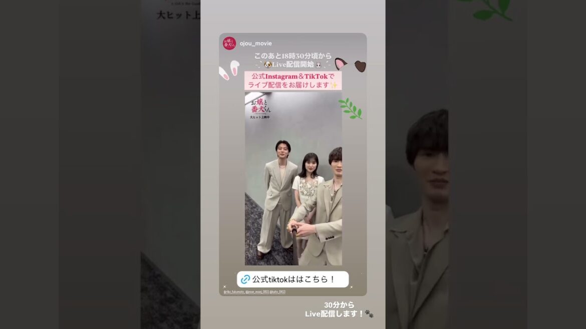 #福本莉子 あと18時30分頃から˗ˏˋ 🐶𝐋𝐢𝐯𝐞配信開始🐰 ˎˊ˗ 公式𝐈𝐧𝐬𝐭𝐚𝐠𝐫𝐚𝐦＆𝐓𝐢𝐤𝐓𝐨𝐤