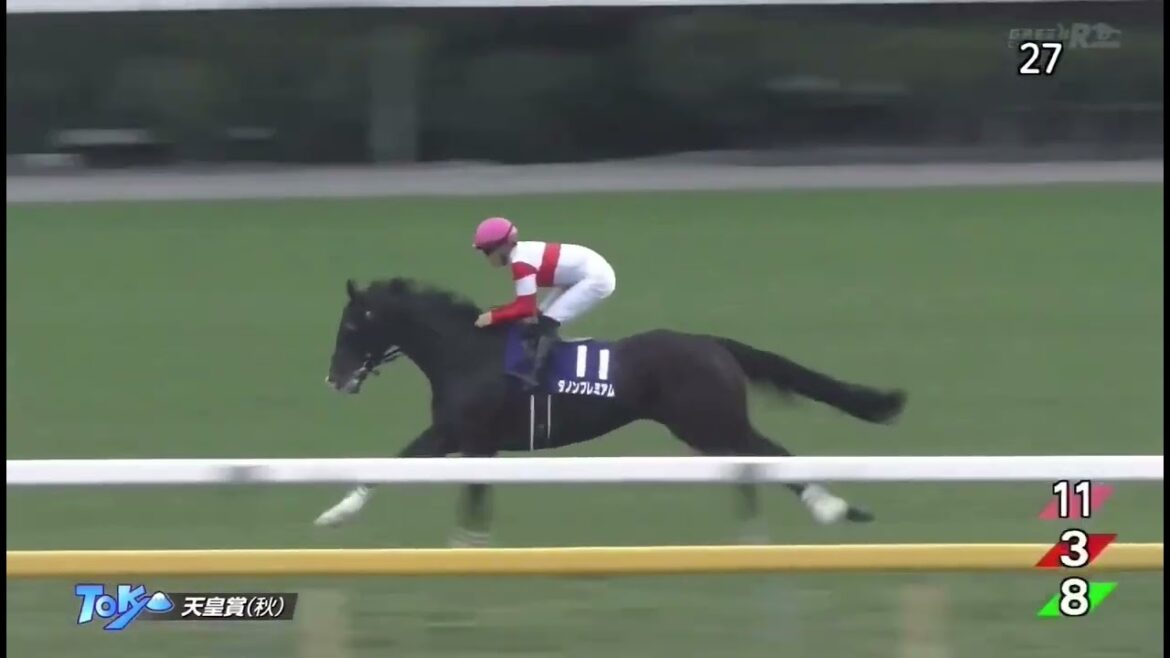 2020年 天皇賞(秋) (G1)(アーモンドアイ、 C.ルメール)
