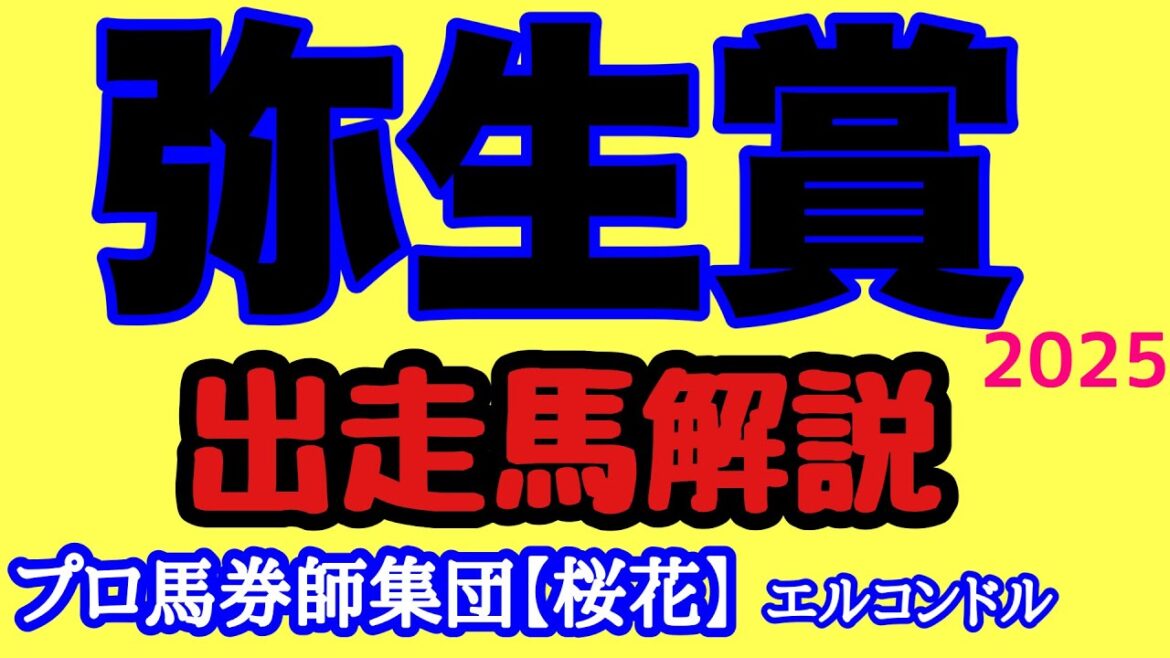エルコンドル氏の弥生賞2025出走馬解説!!いよいよクラシックのシーズンが近づいてきた!毎年好走馬輩出するこのレースから新たな主役候補誕生か! エルコンドル氏の弥生賞2025出走馬解説!!いよいよクラシックのシーズンが近づいてきた!毎年好走馬輩出するこのレースから新たな主役候補誕生か!