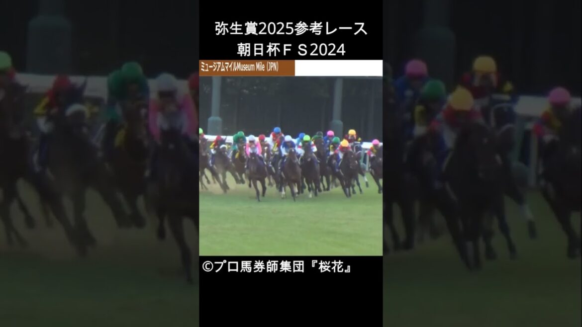 弥生賞2025出走登録馬ミュージアムマイルは朝日杯フューチュリティステークスで２着に好走した実力馬！ #プロ馬券師集団桜花 #中央競馬予想 #競馬 #弥生賞 #弥生賞ディープインパクト記念