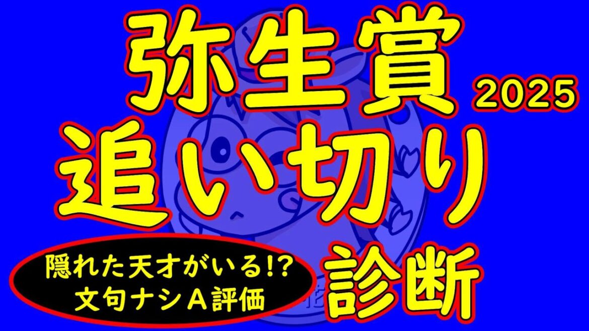 弥生賞2025追い切り診断！ヴィンセンシオ？ミュージアムマイル？いやいや隠れた天才がいるかもしれない！上位人気になる馬に不安が残りまだまだ素質を隠している馬がいてもおかしくない！