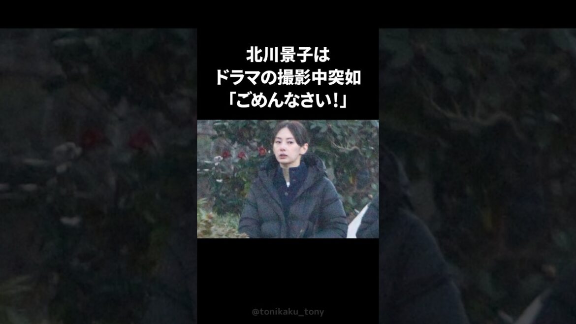 ドラマ共演者のピンチを救った北川景子がとったとっさの神対応