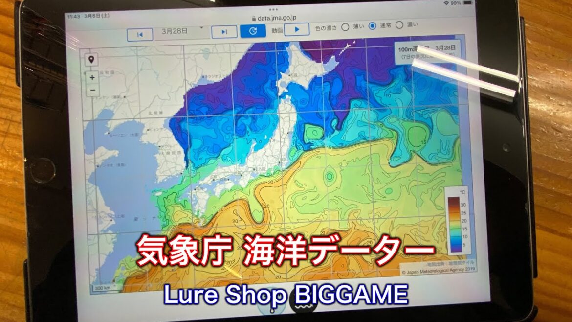 気象庁の海洋データー