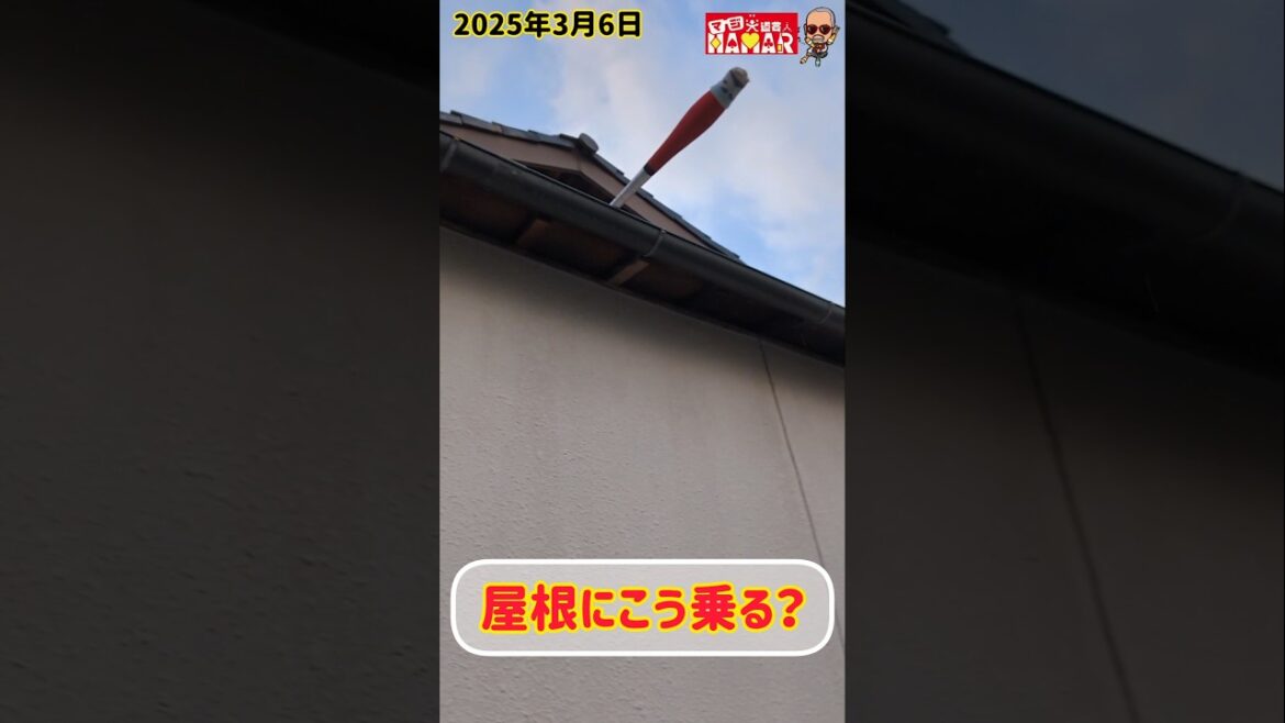 屋根にこう乗る？