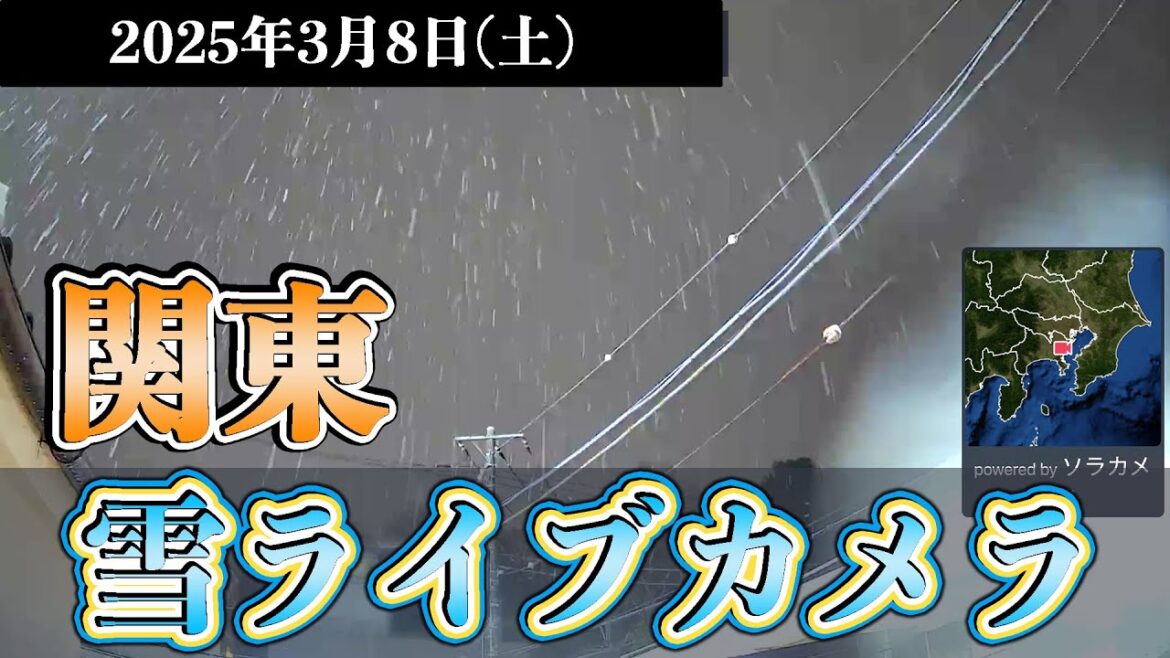 【関東雪 #ライブカメラ 】雪の状況は? 東京・神奈川 ウェザーニュース 2025年3月8日(土)
