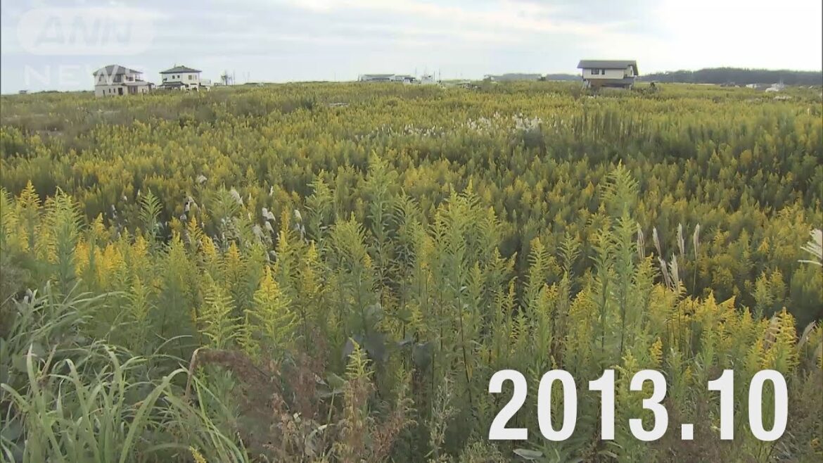 【●REC from 311～復興の現在地】福島・浪江町⑩ 定点撮影 2025年Ver
