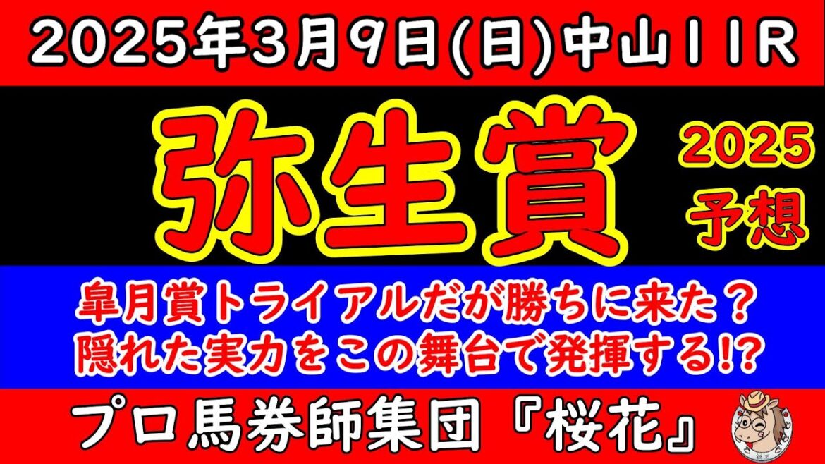 弥生賞2025レース予想！人気はナグルファルやヴィンセンシオといった無敗の馬か？素質の高い馬が揃ったがポイントはファウストラーゼンの動きに絡んだ予想の中で本命を打つのは？