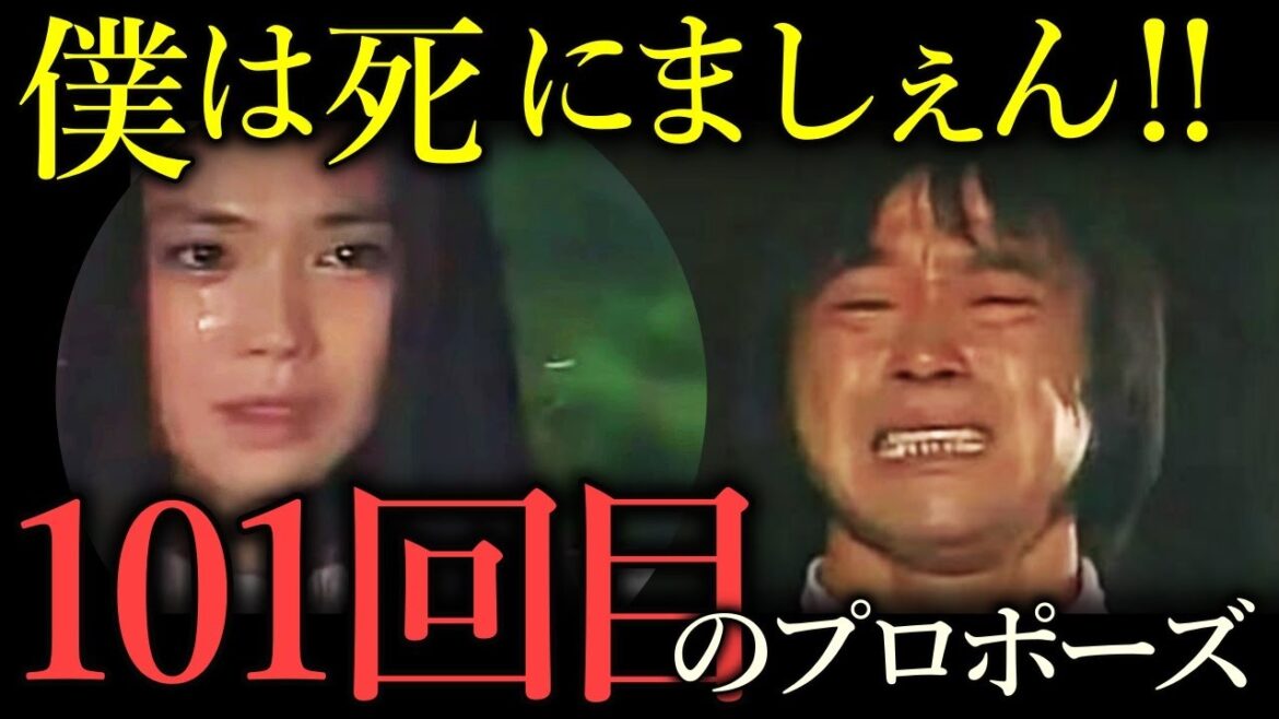 【101回目のプロポーズ】「僕は死にましぇん‼あなたが好きだから‼」何度見ても泣けるど直球の愛情表現。浅野温子と武田鉄矢の感動的名シーン