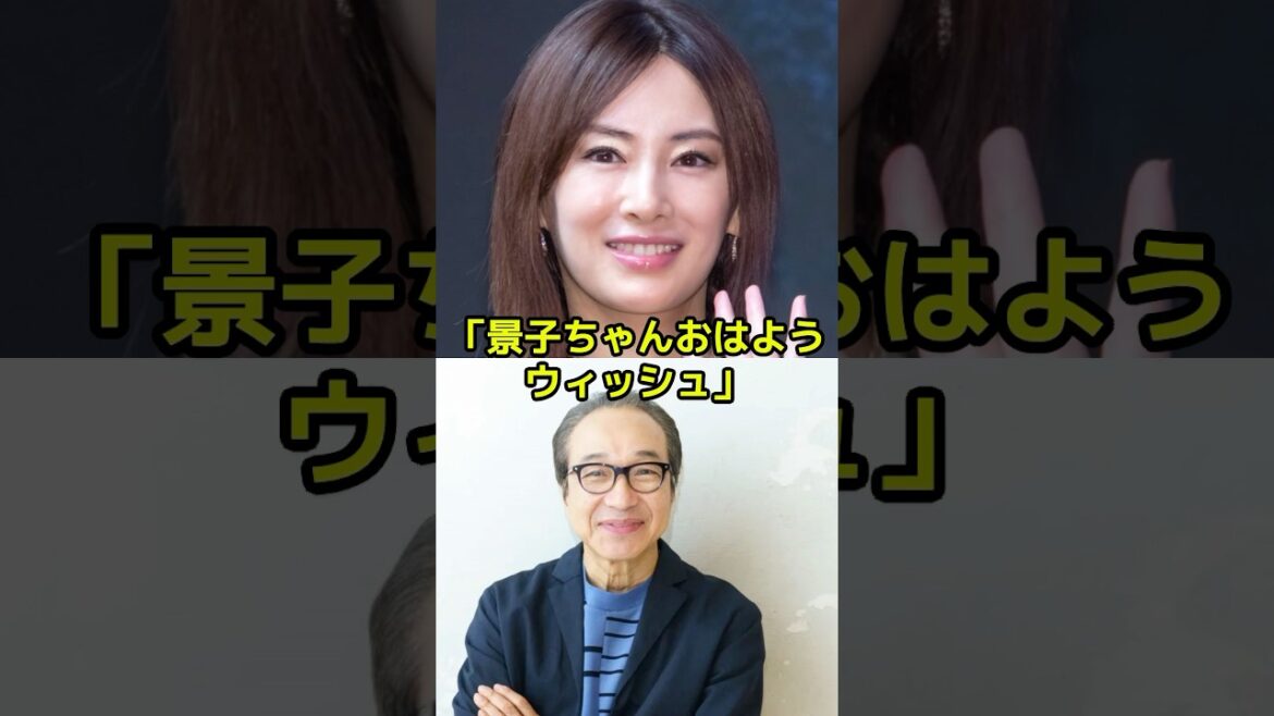 小日向文世は北川景子をいじり倒したことがあるって本当？