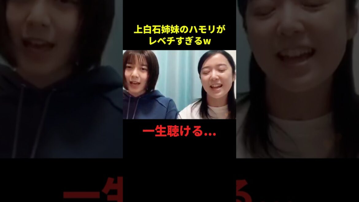 上白石姉妹のハモリがうますぎるw#面白い #面白集 #千鳥 #おもしろ動画 #shorts