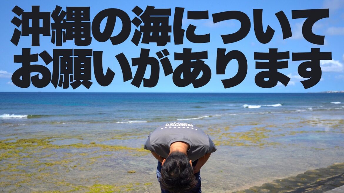 【沖縄のサーファー全員みて欲しい】7月の津波から仲間を救うのは僕たちサーファー 【沖縄のサーファー全員みて欲しい】7月の津波から仲間を救うのは僕たちサーファー