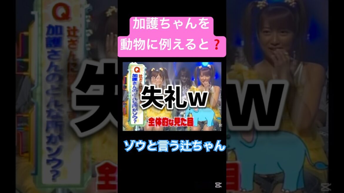 さすがに失礼🤣🤣#モーニング娘 #ダブルユー#辻希美#加護亜依#ハロプロ#ハロヲタ#堂本兄弟#出演#面白い#大好き#切り抜き#切り抜き動画 #shorts