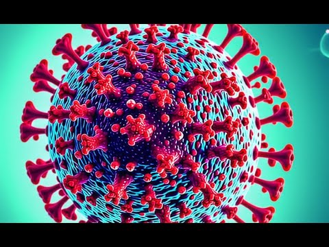 警戒!:ヒトメタニューモウイルス(HMPV)の脅威と最新情報 #ai検索 警戒!:ヒトメタニューモウイルス(HMPV)の脅威と最新情報 #ai検索