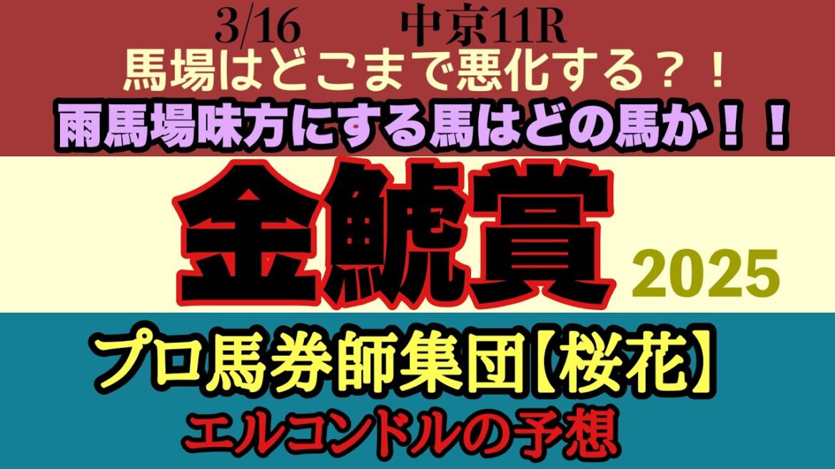エルコンドル氏の金鯱賞2025予想！！土曜とはガラッと変わり雨模様！馬場状態が鍵に！雨馬場巧者の伏兵馬にも注意！？