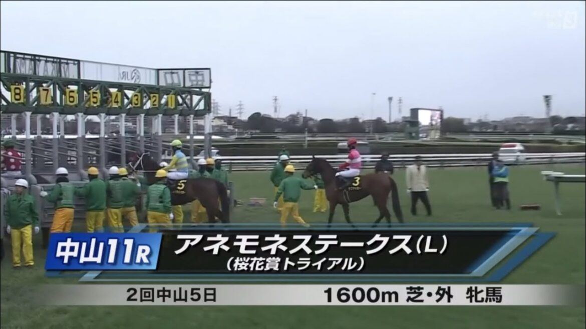 中山11R アネモネステークス（L） 〈桜花賞トライアル〉