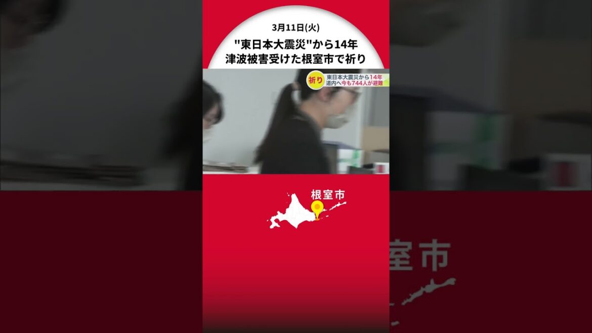 【東日本大震災から14年】“いまも744人避難”の北海道から祈り捧げる…約2.8メートル津波で227施設が浸水被害受けた根室市「まだまだ復興は道半ば」