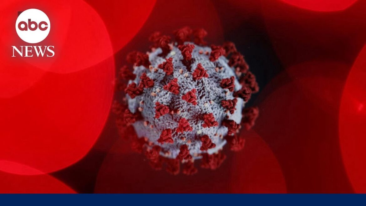 5 years ago, the WHO declared COVID a pandemic