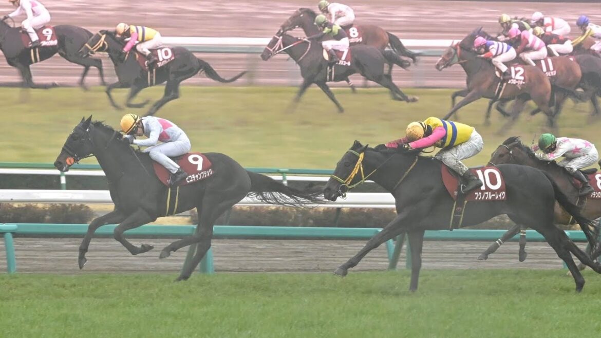 【重賞】第74回スプリングS(皐月賞トライアル)実況[優勝馬　ピコチャンブラック　石橋脩騎手]