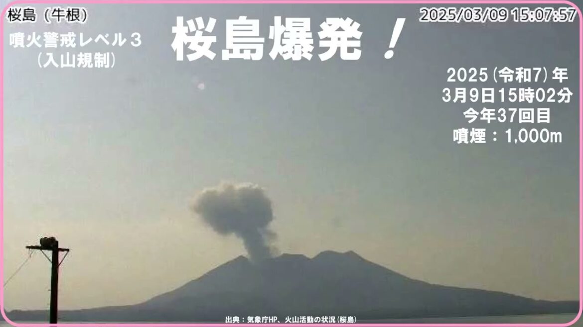 【速報　『桜島　爆発！　今年37回目！』　有色噴煙：火口上1,000m】　2025（令和7）年3月9日15時02分　前回の爆発：4日5時23分　#爆発 #桜島 #噴火警戒レベル3