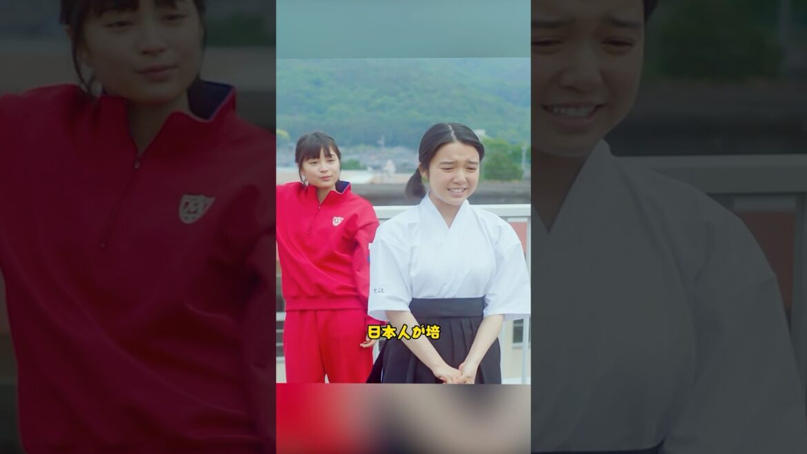 一緒にトランプをしよう！/ちはやふる/广濑铃 / 野村周平 / 新田真剑佑 / 上白石萌音 /#shorts #movie