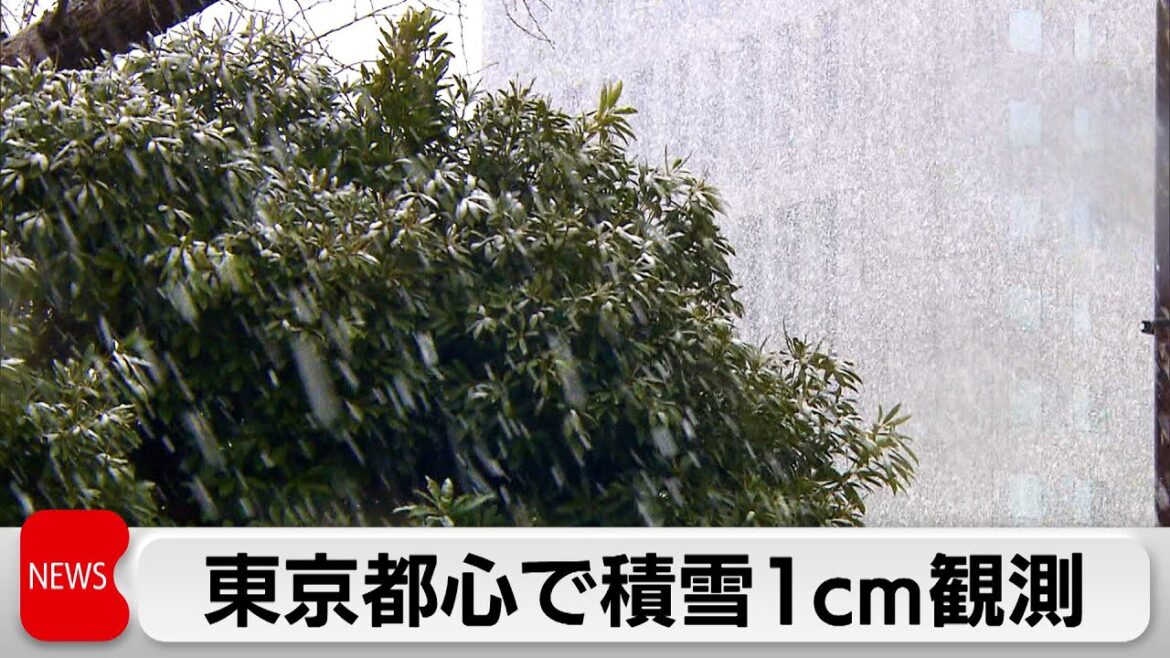 東京都心で季節外れの雪に　気象庁 夜にかけても暴風雪や暴風への警戒を