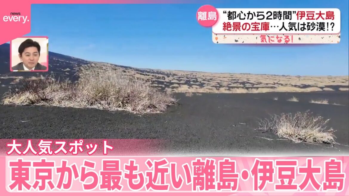 【絶景＆グルメ】東京から最も近い離島・伊豆大島が人気  新たに生まれた「映えスポット」も『気になる！』