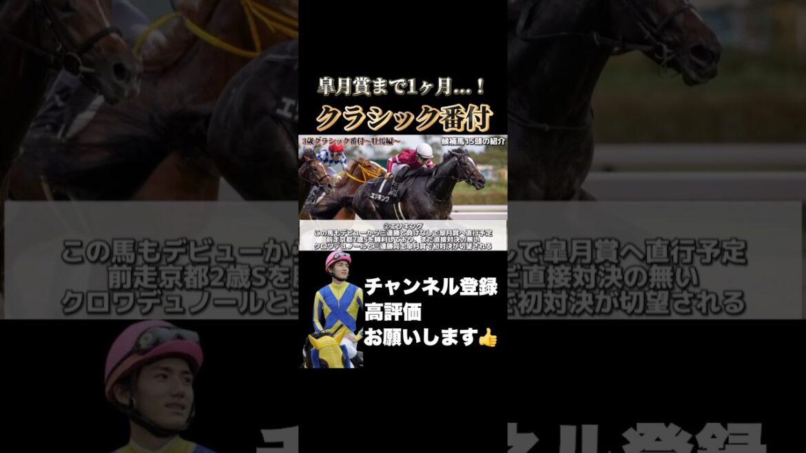 【牡馬クラシック】皐月賞まであと1ヶ月！クラシック路線で「横綱級」の馬とは？#競馬 #皐月賞 #クロワデュノール #阪神大賞典 #愛知杯 #フラワーカップ #ファルコンステークス