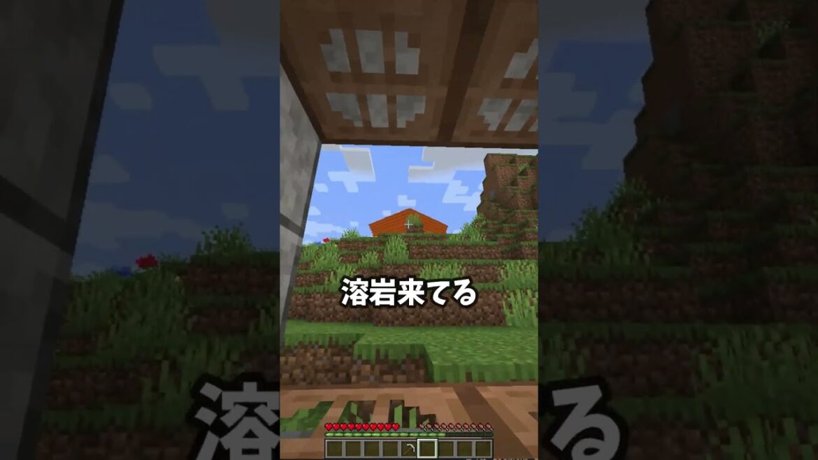 ラヴァ津波から猫を救いました😭😭